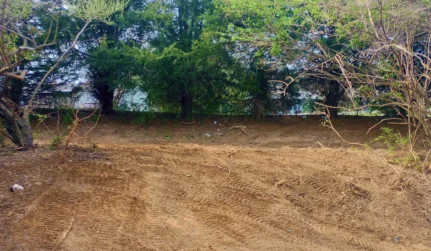 Brush Clearing services in westerville OH