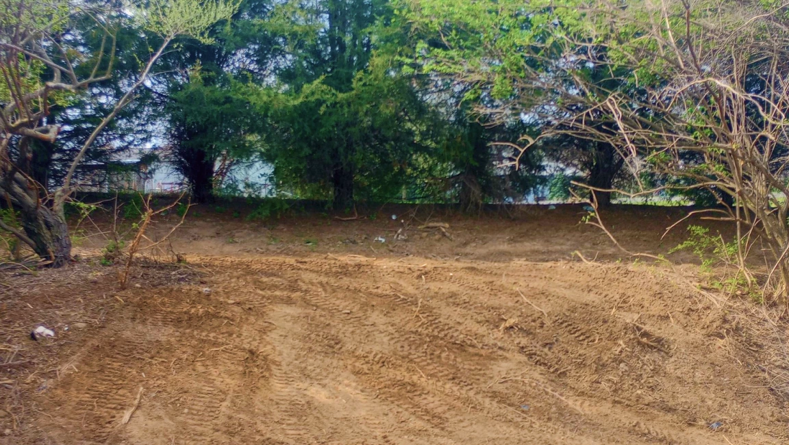 Brush Clearing services in westerville OH Brush Clearing services in westerville OH