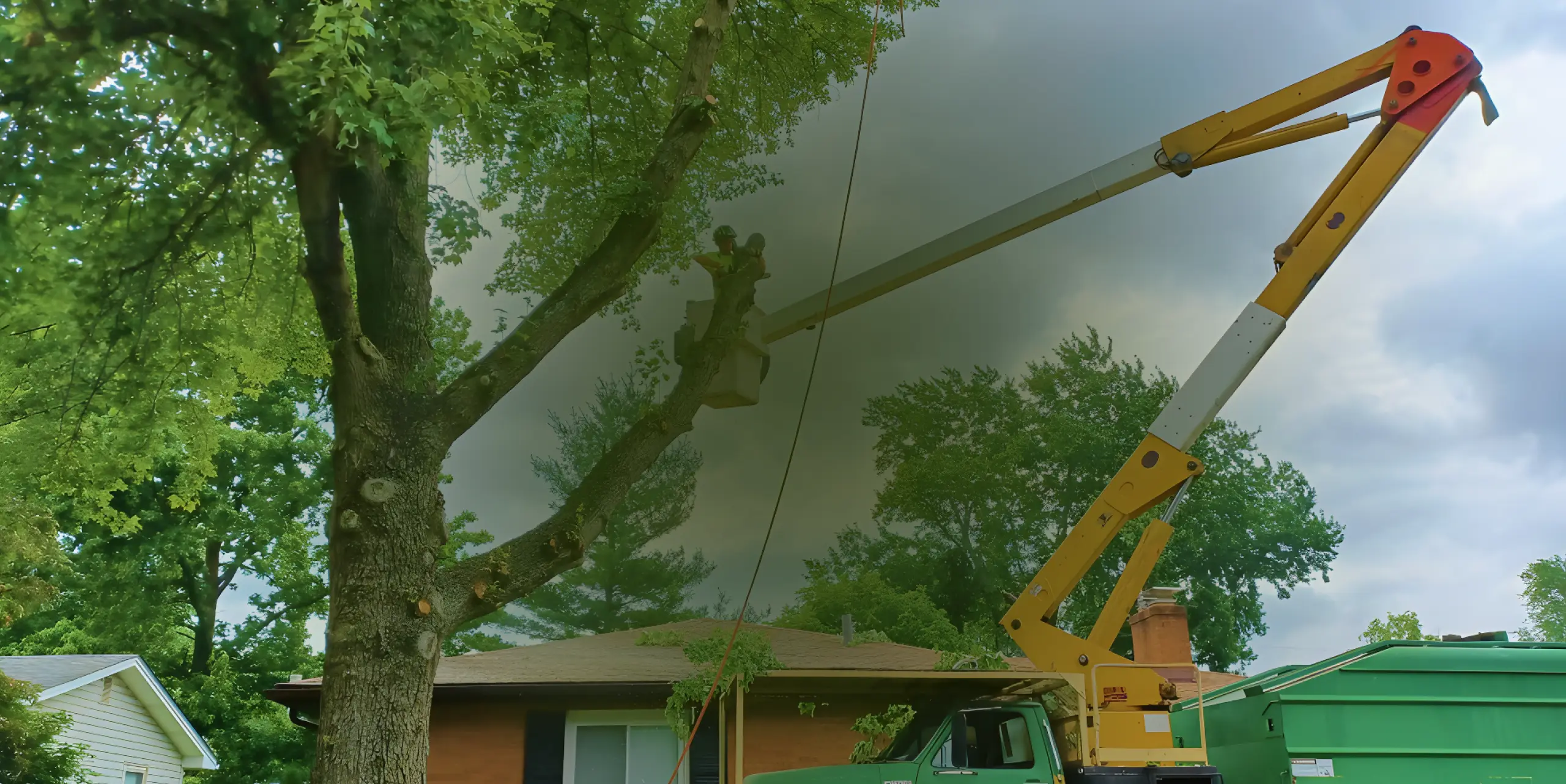 hero img tree services in westerville OH 1