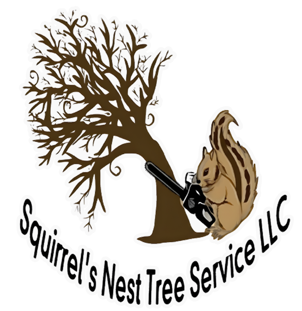 squirrels nest tree service llc logo