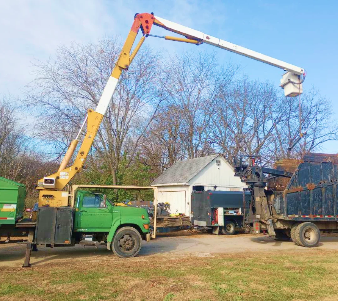 tree services in westerville OH